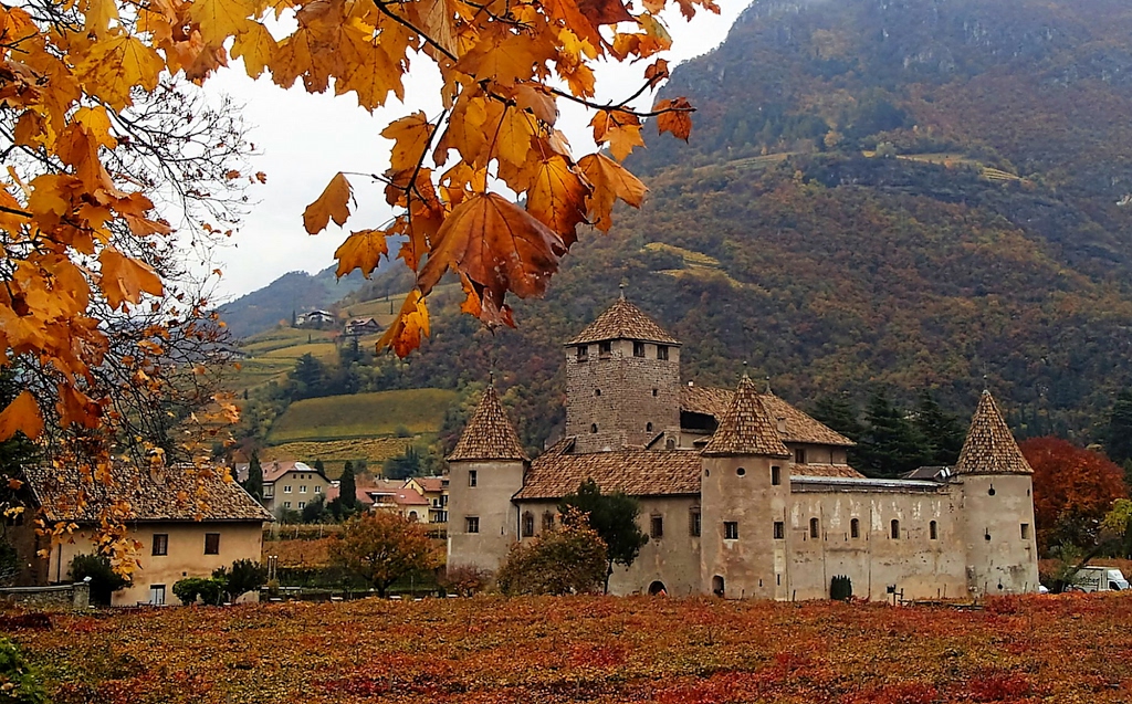 Forte dizionario, significato e curiosità