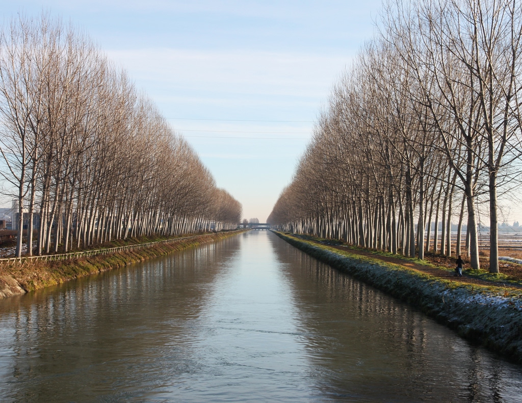 Argini: dizionario, significato e curiosità