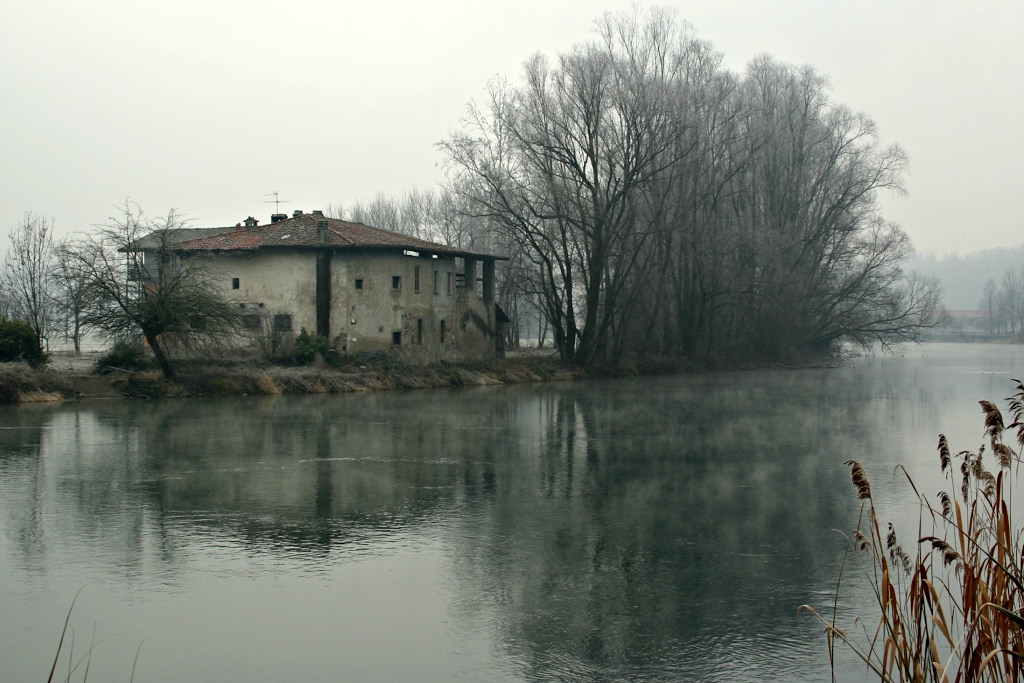Brume sul fiume Dizy Foto