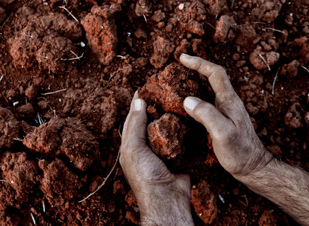 Uomo dizionario, significato e curiosità