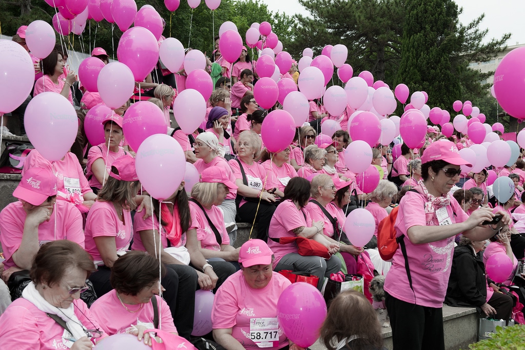 Pubblico dizionario, significato e curiosità