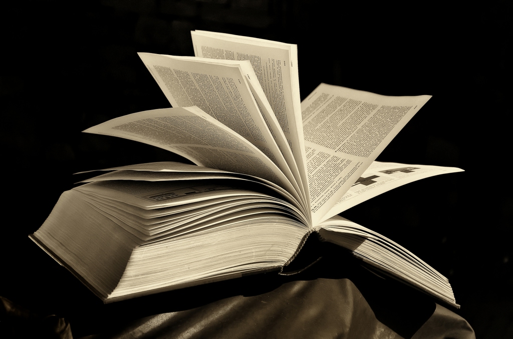 Scritti Dizionario Significato E Curiosita