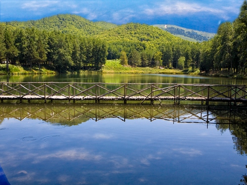 Immagine con lago, ponte, riflessi, alberi, bosco, acqua, verde, passerella, cielo, riflesso, montagna, nuvole, staccionata, azzurro, pontile, legno