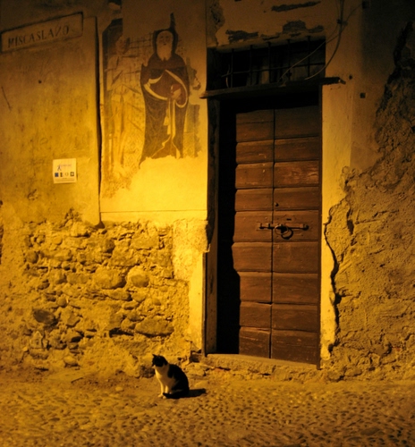 Immagine con gatto, porta, portone, legno, notturno, affresco, murales, luce