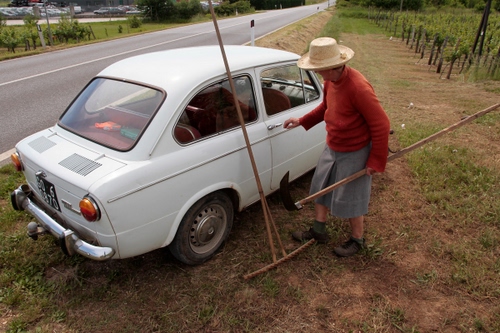 Immagine con cappello, strada, rastrello, contadina, auto, donna, automobile, falce, fiat, bianco, viti, erba, anziana, targa