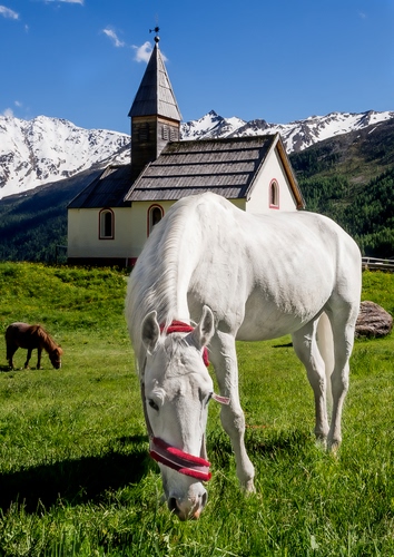 Immagine con bianco, chiesa, cavallo, erba, campanile, cavalli, verde, neve, montagne, prato, montagna, rosso, chiesetta, animali, animale, pascolo, marrone, azzurro, cielo, ombra