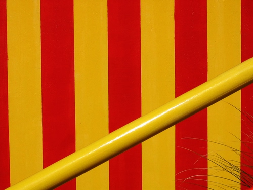 Immagine con giallo, rosso, bicolore, righe, strisce, palo, verticali, asta, erba, colori, pianta