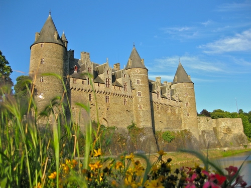 Immagine con castello, fiori, torri, finestre, mura, verde