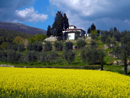 Immagine con giallo, alberi, campo, collina, colza, nuvole, paesaggio, fiori, casa, campagna, verde, villa