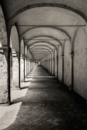 Immagine con archi, prospettiva, colonne, portico, ombre, portici, selciato, grigio, pilastri, volte, bianco