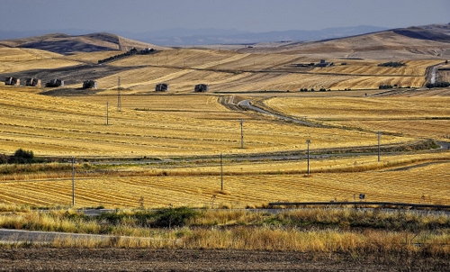 Immagine con campi, campagna, panorama, giallo, pali, colline, strada, grano, paesaggio, tralicci