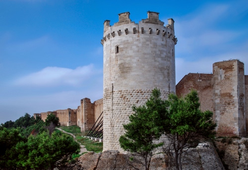 Immagine con torre, alberi, castello, merli, mura, verde, cielo