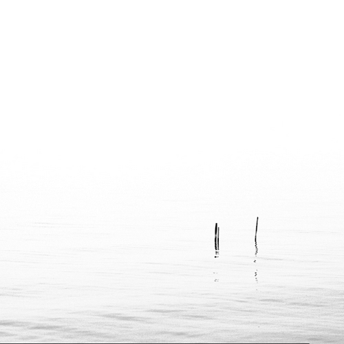 Immagine con pali, acqua, minimalismo, bianco, riflesso, bianconero, grigio, nero, lago