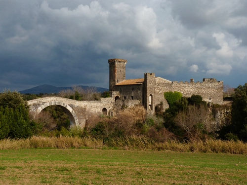 Immagine con ponte, castello, torre, nuvole, alberi, prato, cielo, torri