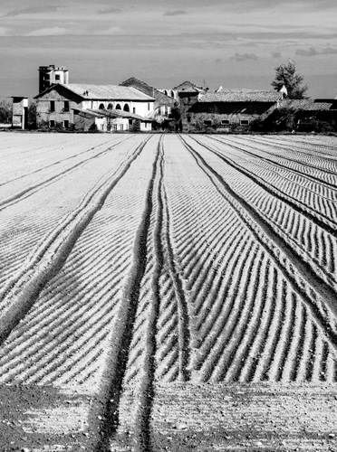 Immagine con neve, campagna, solchi, bianconero, campi, prospettiva, cascina, campo, arato, inverno, casa
