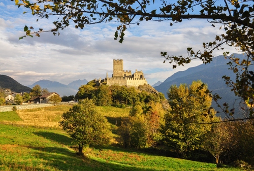 Immagine con castello, alberi, prato, verde, panorama, rocca, merli, nuvole, ramo, paesaggio, rami
