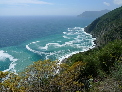 Immagine con mare, onde, panorama, costa, alberi, piante, schiuma, scogliera, acqua