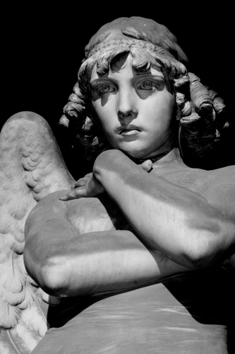 Immagine con angelo, statua, bianconero, braccia, ali, ala, volto, scultura