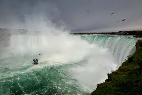 Immagine con acqua, cascata, cascate, battello, barca, uccelli, niagara, schiuma, spruzzi, verde, fiume, gabbiani