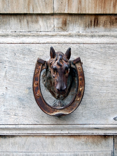 Immagine con cavallo, legno, ferro, porta, batacchio, portone, testa, ruggine, battiporta, metallo