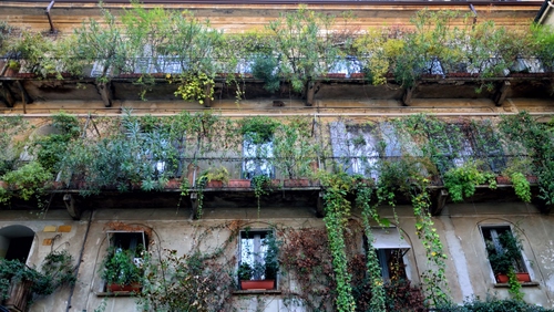 Immagine con finestre, balconi, piante, ringhiere, palazzo, verde, vetri, vasi, casa, foglie, facciata, fiori