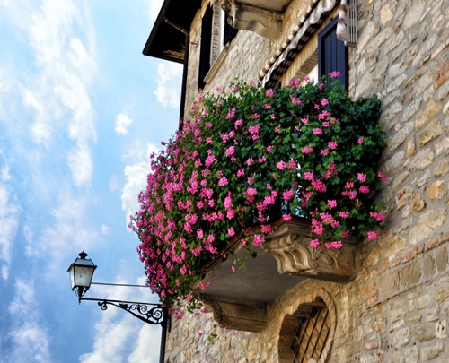 Immagine con balcone, fiori, lampione, rosa, nuvole, gerani, cielo, finestre