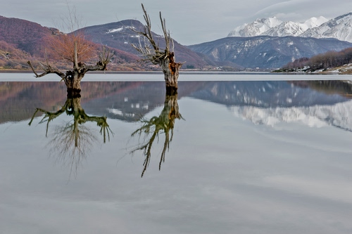 Immagine con lago, alberi, montagne, riflessi, riflesso, acqua, montagna, panorama, monti