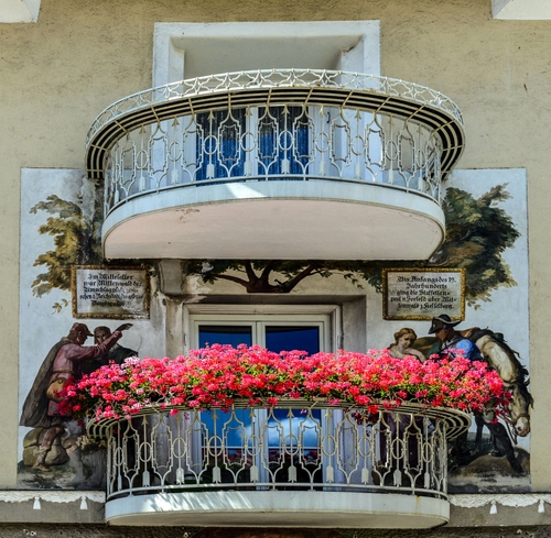 Immagine con fiori, balconi, finestre, rosso, murales, porte, vetri, ringhiera, due, ringhiere, rosa, piante, balaustre, affreschi, gerani, terrazze, riflessi, murale, vasi