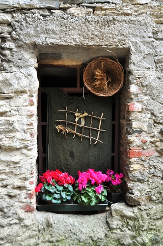 Immagine con finestra, fiori, ciclamini, vasi, cesto, ciclamino, rosso, mattoni, cestino, vaso