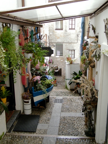 Immagine con barca, fiori, vicolo, zerbino, piante, finestre, vasi, verde, tappeto