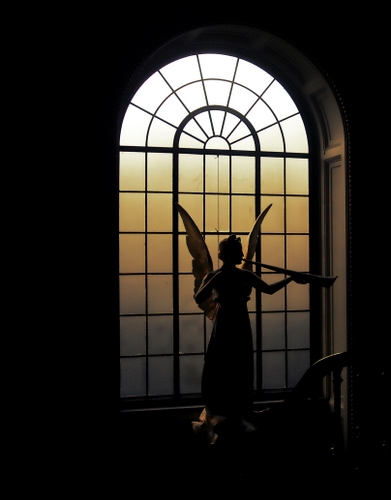 Immagine con angelo, finestra, ali, controluce, statua, tromba, luce, arco