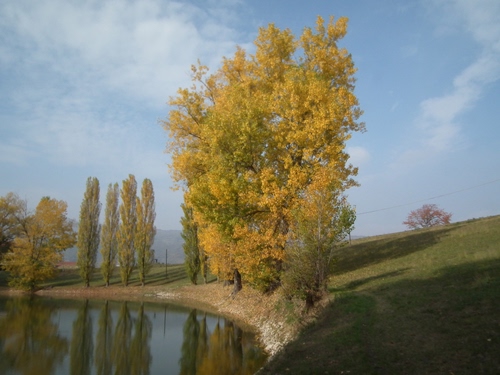 Immagine con alberi, cielo, verde, nuvole, prato, autunno, riflesso, acqua, lago, riflessi, fiume, foglie, giallo, erba, paesaggio