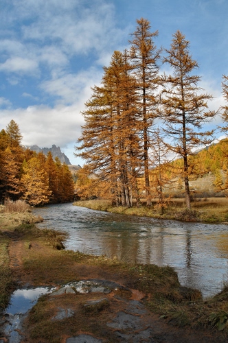 Immagine con alberi, fiume, autunno, montagna, acqua, nuvole, cielo, abeti, torrente, larici