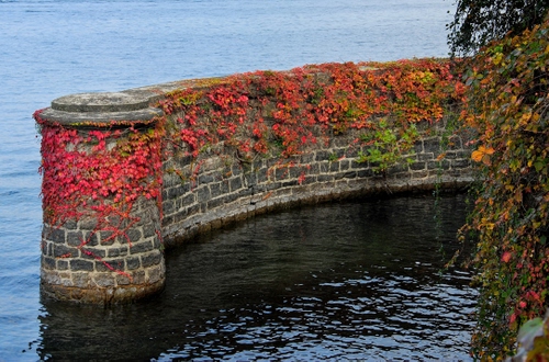 Immagine con acqua, foglie, rosso, autunno, muro, edera, lago, mare, pietra, porto, muretto