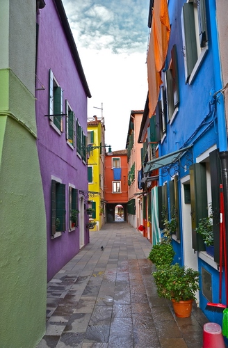 Immagine con colori, vicolo, case, strada, piante, multicolore, finestre, vasi, cielo