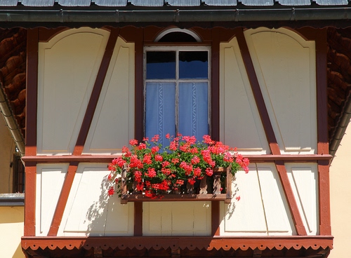 Immagine con finestra, balcone, fiori, rosso, gerani, legno, vaso, tendine, bianco