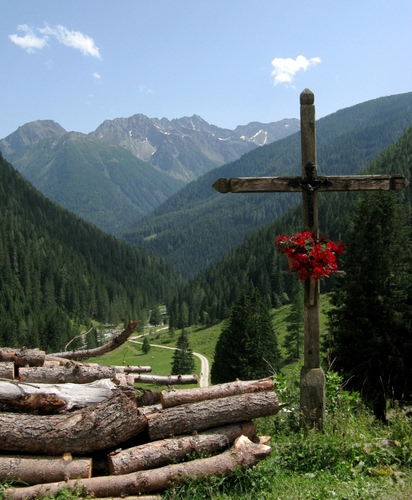Immagine con croce, fiori, tronchi, montagne, alberi, montagna, strada
