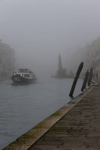 Immagine con nebbia, acqua, barca, canale, pali, gabbiano, fiume