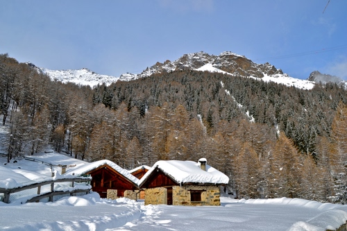 Immagine con neve, case, alberi, montagna, montagne, baite, bosco, bianco