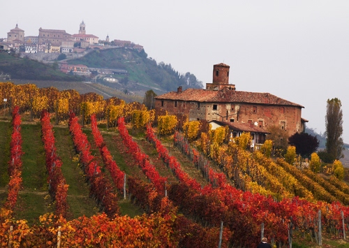Immagine con rosso, borgo, autunno, collina, vigneto, panorama, filari, vigna, paese, torre, giallo, cascina