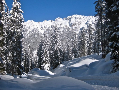 Immagine con neve, alberi, bianco, inverno, montagne, montagna, cielo, abeti, bosco, pini, paesaggio