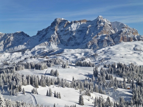 Immagine con neve, alberi, inverno, bianco, montagna, montagne, panorama, paesaggio, pini