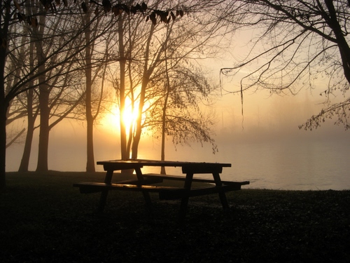 Immagine con alberi, tavolo, panchina, controluce, tramonto, lago, rami, acqua, panca, nebbia, sole, foschia