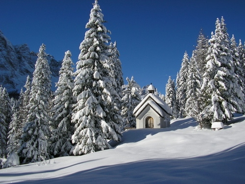 Immagine con neve, chiesetta, montagna, bianco, cielo, abeti, chiesa, alberi, paesaggio, blu