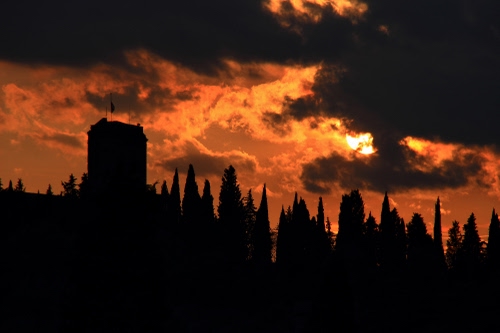 Immagine con alberi, nuvole, tramonto, torre, controluce, silhouette, cielo, sole, arancione