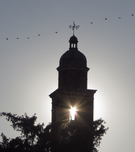 Immagine con campanile, sole, controluce, uccelli, raggi, albero, banderuola, cielo, croce, alberi, riflesso, nero, volo, silhouette, torre, rami