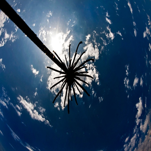Immagine con nuvole, cielo, controluce, albero, azzurro, blu, silhouette, antenna