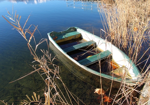 Immagine con barca, acqua, lago, legno, canne, fiume, mare, riflesso, arbusti, giunchi, erba, foglie, azzurro