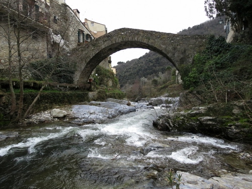 Immagine con fiume, ponte, acqua, arco, alberi, rocce, montagna, verde, rami, case