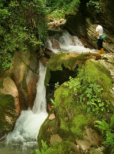 Immagine con verde, cascata, acqua, foglie, rocce, piante, muschio, cascate, persona, sassi, vegetazione, roccia, pescatore